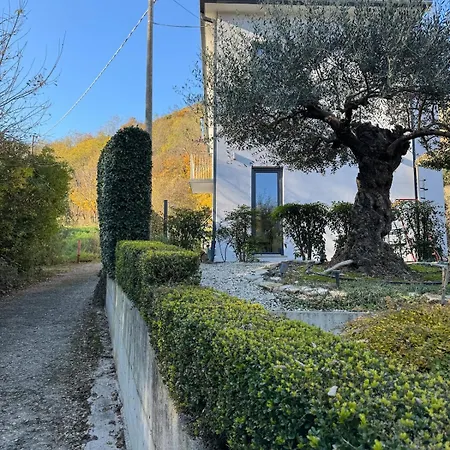Villa In Thermal Zone